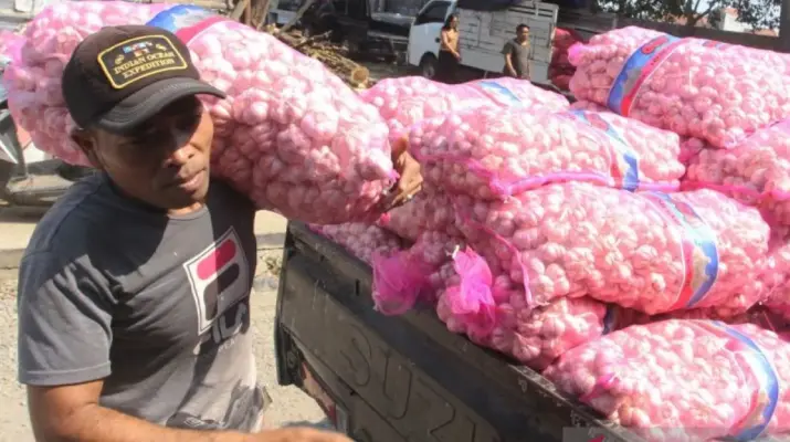 Indonesia Menapak Jalan Swasembada Bawang Putih lewat Penguatan Produksi Dalam Negeri